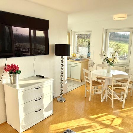 Panorama Domizil Ravensburg Mit Alpenblick Balkon Apartment ภายนอก รูปภาพ