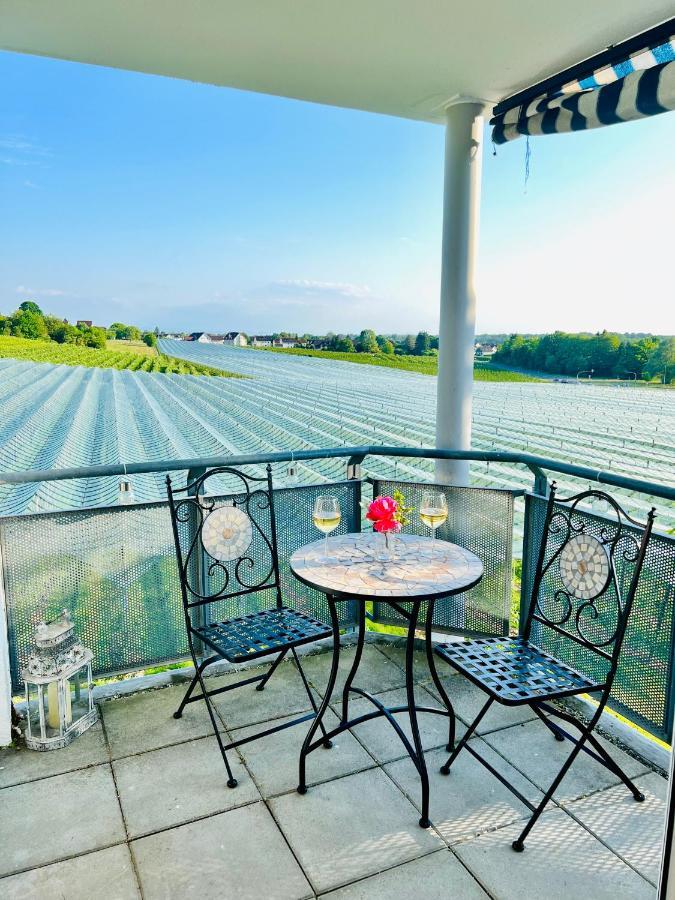 Panorama Domizil Ravensburg Mit Alpenblick Balkon Apartment ภายนอก รูปภาพ